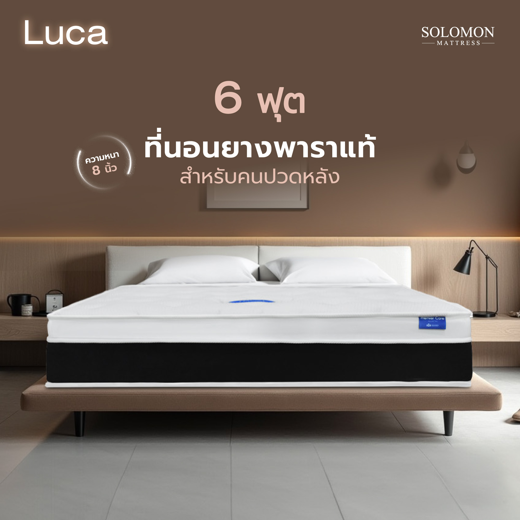 ที่นอน 6 ฟุต SOLOMON รุ่น LUCA หนา 8 นิ้ว_8